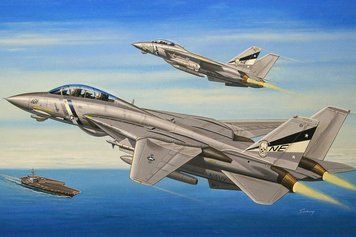 Збірна модель американського винищувача F-14D Super Tomcat HB80278 фото