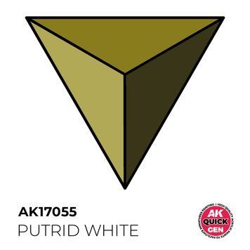 Акрилова фарба PUTRID WHITE / Гнильний білий QUICK GEN COLOR AK-interactive AK 17055 AK17055 фото