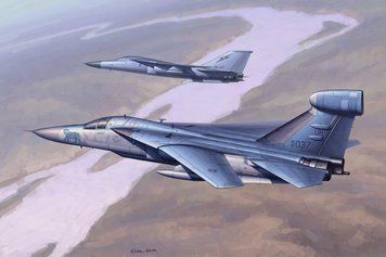 Збірна модель літака EF-111 Raven HB80352 фото